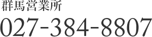 027-384-8807